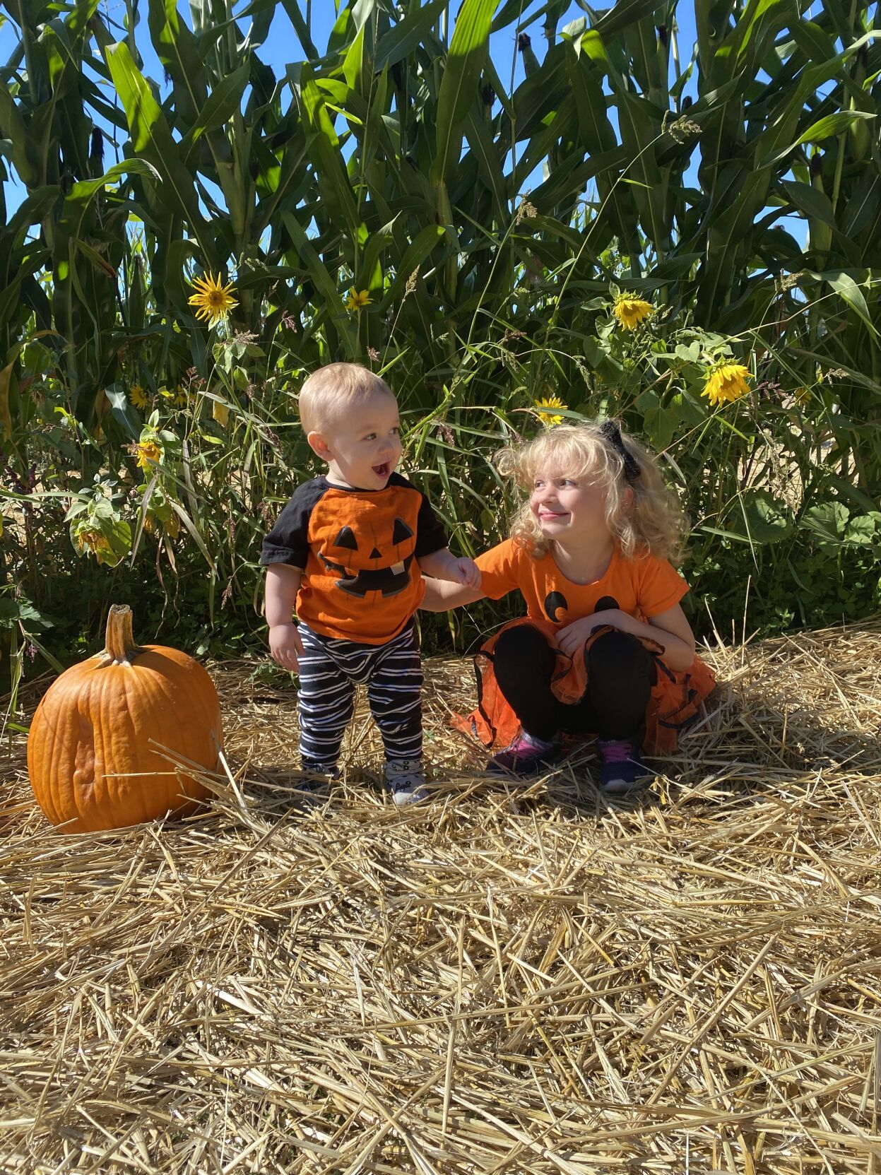 Picking Pumpkins 2022